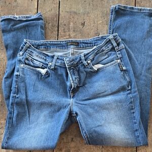 Silver Jeans Women's Skinny Jeans in Blue Wash